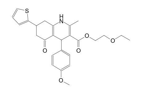 3-quinolinecarboxylic acid, 1,4,5,6,7,8-hexahydro-4-(4-methoxyphenyl)-2-methyl-5-oxo-7-(2-thienyl)-, 2-ethoxyethyl ester