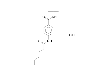 N-tert-butyl-4-hexanamidobenzamide hydrochloride