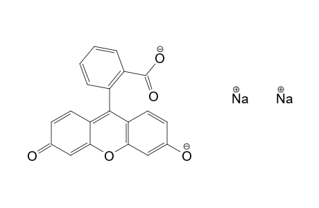 fluorescein, disodium salt