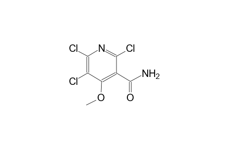 3-pyridinecarboxamide, 2,5,6-trichloro-4-methoxy-