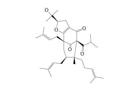27-EPIFUROHYPERFORIN;ISOMER-1