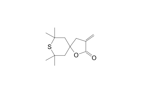 2,2,6,6-Tetramethyl-9-methylen-7-oxa-1-thiaspiro-[4.5]-decan-8-on