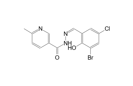 N'-[(Z)-(3-bromo-5-chloro-2-hydroxyphenyl)methylidene]-6-methylnicotinohydrazide