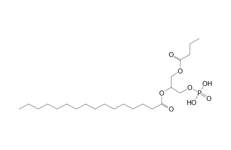 PA 4:0_16:0