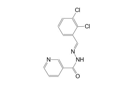N'-[(E)-(2,3-dichlorophenyl)methylidene]nicotinohydrazide