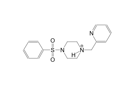 1-(phenylsulfonyl)-4-(2-pyridinylmethyl)piperazin-4-ium