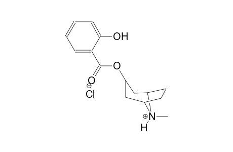3-[(2-hydroxybenzoyl)oxy]-8-methyl-8-azoniabicyclo[3.2.1]octane chloride