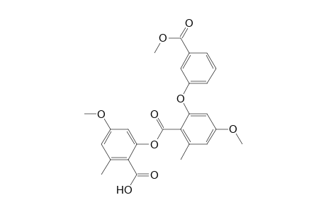 Benzoic acid, 4-methoxy-2-[3-(methoxycarbonyl)phenoxy]-6-methyl-, 2-carboxy-5-methoxy-3-methylphenyl ester
