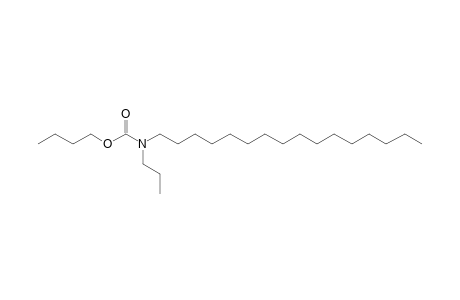 Carbonic acid, monoamide, N-propyl-N-hexadecyl-, butyl ester