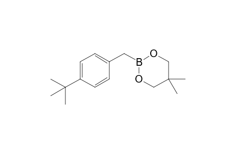 2-(4-(tert-Butyl)benzyl)-5,5-dimethyl-1,3,2-dioxaborinane