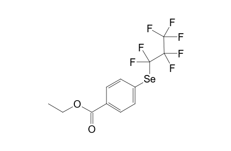 ethyl 4-[(1,1,2,2,3,3,3-heptafluoropropyl)selanyl]benzoate