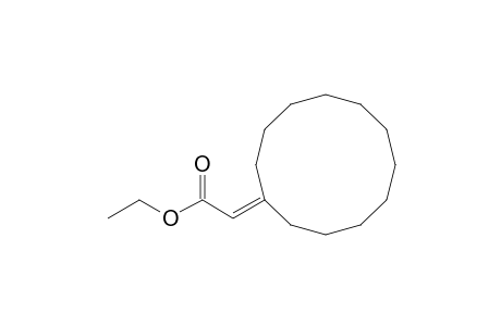 2-cyclododecylideneacetic acid ethyl ester