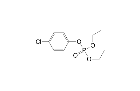 Phosphoric acid, 4-chlorophenyl diethyl ester