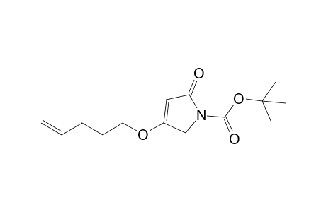 2-Oxo-4-pent-4-enyloxy-2,5-dihydropyrrol-1-carboxylic acid tert-Butyl Ester