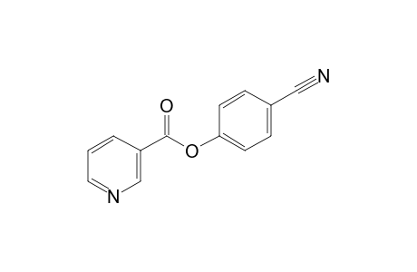 Nicotinic acid, 4-cyanophenyl ester