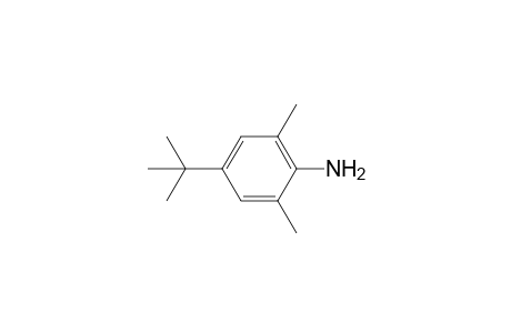 2,6-Dimethyl-4-tert-butylaniline