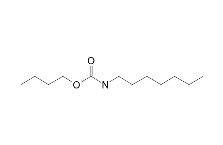 Carbonic acid, monoamide, N-heptyl-, butyl ester