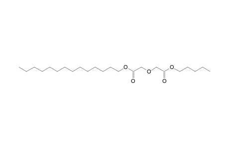 Diglycolic acid, pentyl tetradecyl ester