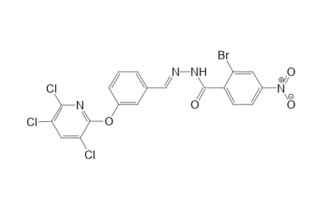 (E)-N'-(3-(3,5,6-Trichloropyridin-2-yloxy)benzylidene)-2-bromo-4-nitrobenzohydrazide