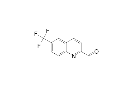 6-TRIFLUOROMETHYL-2-QUINOLINECARBOXALDEHYDE