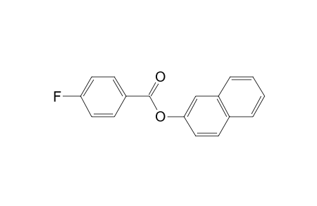 2-Naphthyl 4-fluorobenzoate