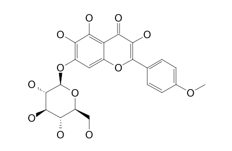 3,5,6-TRIHYDROXY-4'-METHOXYFLAVONE-7-BETA-D-GLUCOPYRANOSIDE