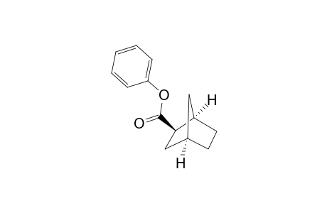 (Exo)-phenyl bicyclo[2.2.1]heptane-2-carboxylate