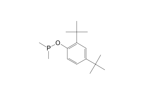 (2,4-ditert-butylphenoxy)-dimethylphosphane