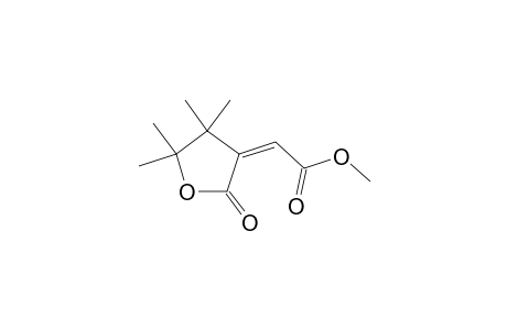(E)-DIHYDRO-3-CARBOMETHOXY-METHYLENE-4,4,5,5-TETRAMETHYL-2(3H)-FURANONE