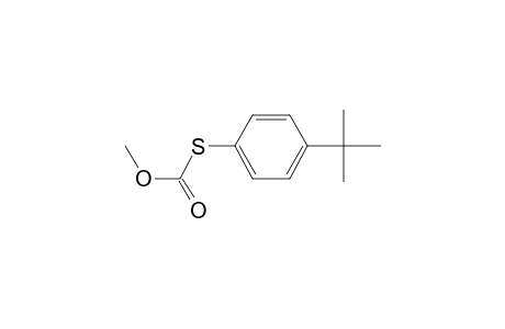 4-Tert-butylbenzenethiol, S-methoxycarbonyl-