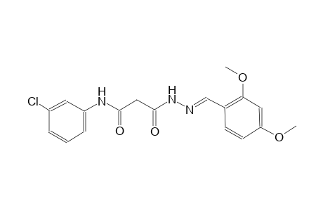 beta-alanine, N-(3-chlorophenyl)-3-oxo-, 2-[(E)-(2,4-dimethoxyphenyl)methylidene]hydrazide