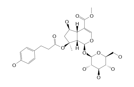SALETPANGPONOSIDE-C