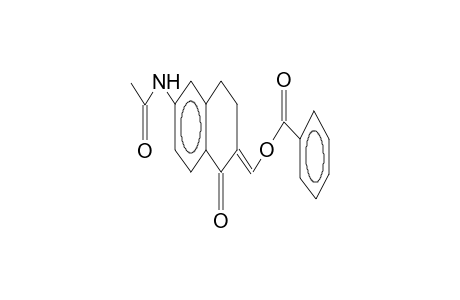 3-benzoyloxymethylidene-4-oxo-7-acetamido-1,2,3,4-tetrahydronaphthalene