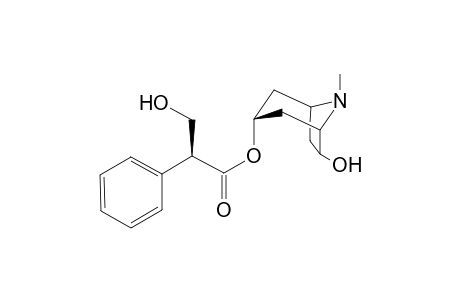 Anisodamine