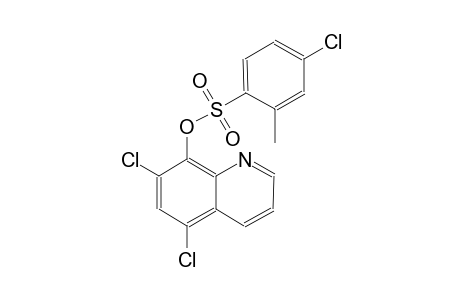 benzenesulfonic acid, 4-chloro-2-methyl-, 5,7-dichloro-8-quinolinylester