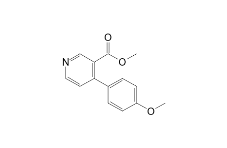 Methyl 4-(4-methoxyphenyl)pyridine-3-carboxylate