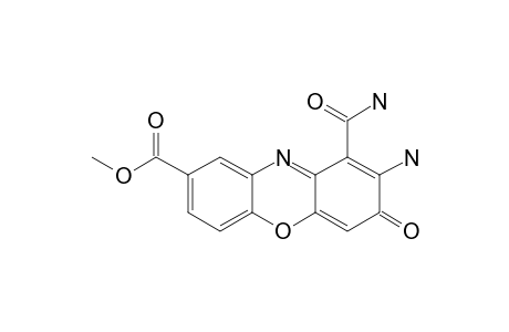 ELLOXAZINONES-A;2-AMINO-1-CARBAMOYL-8-METHOXYCARBONYLPHENOXAZIN-3-ONE