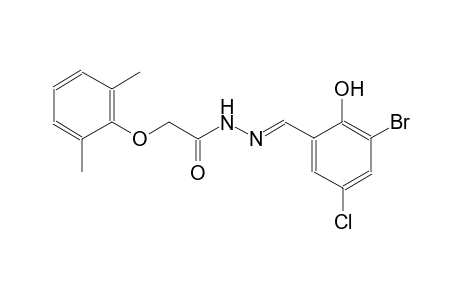 N'-[(E)-(3-bromo-5-chloro-2-hydroxyphenyl)methylidene]-2-(2,6-dimethylphenoxy)acetohydrazide