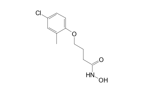 4-(4-Chloro-2-methylphenoxy)-N-hydroxybutanamide