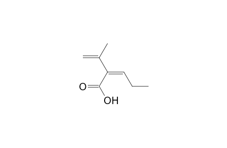 2-(1'-methylethenyl)pent-2-enoic acid