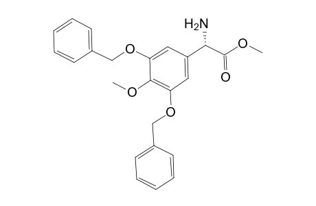 (S)-Amino-(3,5-bis-benzyloxy-4-methoxy-phenyl)-acetic acid methyl ester