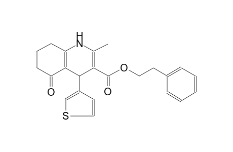 3-quinolinecarboxylic acid, 1,4,5,6,7,8-hexahydro-2-methyl-5-oxo-4-(3-thienyl)-, 2-phenylethyl ester