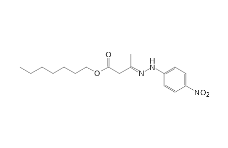 acetoacetic acid, heptyl ester, p-dinitrophenylhydrazone