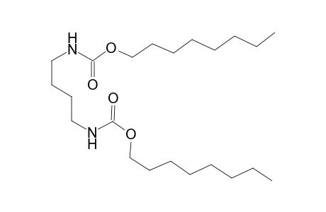 dioctyl butane-1,4-diyldicarbamate
