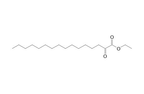 Ethyl 2-oxohexadecanoate