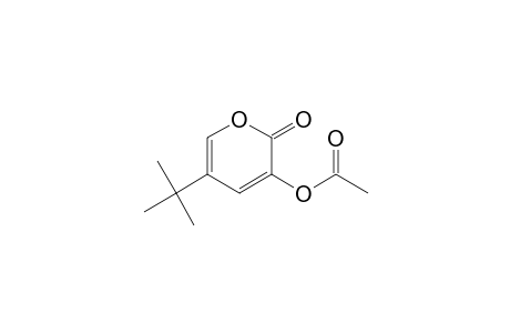 2H-Pyran-2-one, 3-(acetyloxy)-5-(1,1-dimethylethyl)-