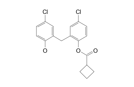 Dichlorophen, o-(cyclobutanecarbonyl)-