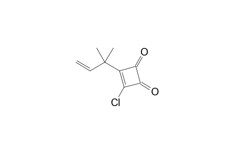 3-Chloranyl-4-(2-methylbut-3-en-2-yl)cyclobut-3-ene-1,2-dione