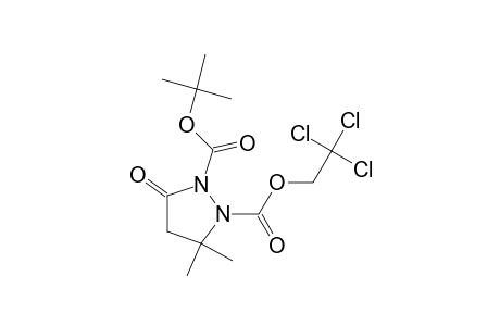 1,2-Pyrazolidinedicarboxylic acid, 3,3-dimethyl-5-oxo-, 1-(1,1-dimethylethyl) 2-(2,2,2-trichloroethyl) ester