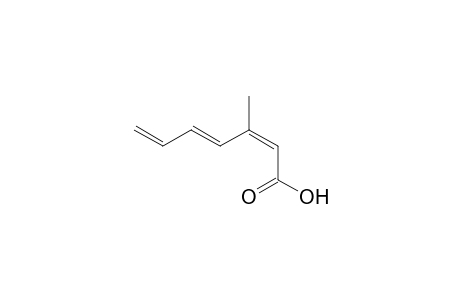 (2Z,4E)-3-Methylhepta-2,4,6-trienoic acid